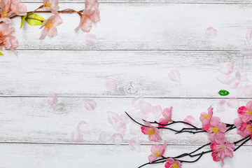 桜の花びらと白板の背景