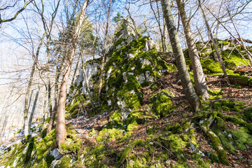 Hike in spring in the beautiful Danube valley