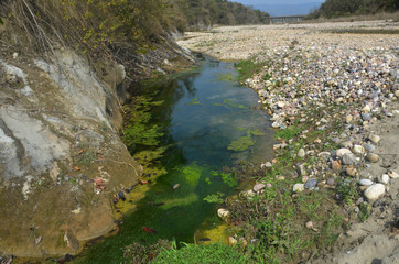 Pound in River Side Near Kaloor Hamirpur Himachal Pradesh India