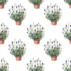 lavender in a flower pot pattern seamless twig plants flora spring frame postcard watercolor purple lilac aromatherapy flowers on a white background