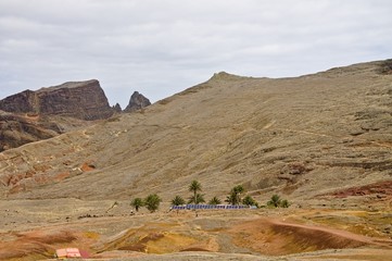 Panoramic view of an oasis with palms in the desert (Madeira, Portugal, Europe)