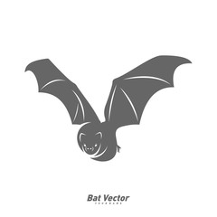 Bat logo vector template. Silhouette of bat design illustration