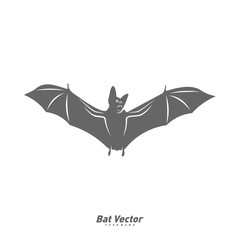 Bat logo vector template. Silhouette of bat design illustration