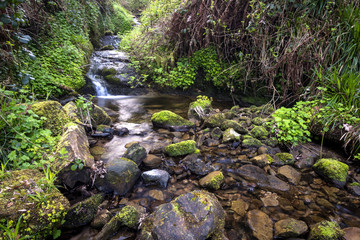 View of Stream, Blairgar Burn, Blairgar Glenn, Dumgoyne, Glasgow, Scotland, UK