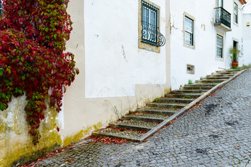 Fototapeta na wymiar Typical old Portuguese house in the autumn season with red and green ivy leaves around the door frames