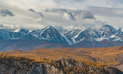 Autumn mountains and autumn trees