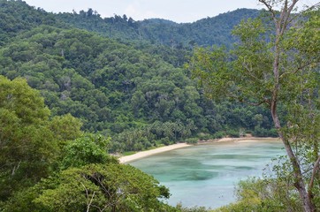 Remote tropical beach fringed by rain forest