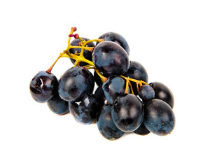 Blue grape isolated on a white background.