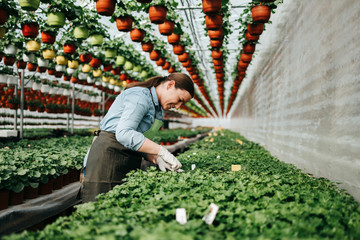 Happy and positive young adult woman working in greenhouse and enjoying in beautiful flowers. - Powered by Adobe