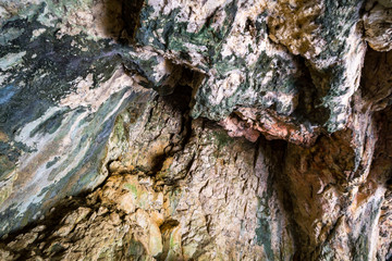 Hike in spring in the beautiful Danube valley