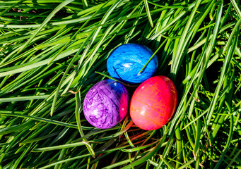 Bunte Ostereier in einer Wiese