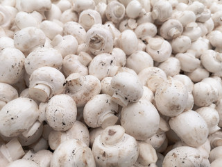 White champignons on a shelf in a store