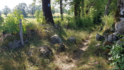 Randonnée la Montagnoune au Pays de Salers