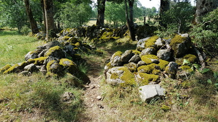 Randonnée la Montagnoune au Pays de Salers