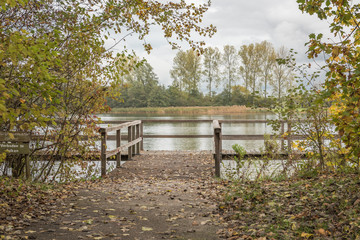 wooden pier at a lake in autumn