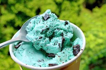 Mint Choc Chip Ice Cream Scooping with Spoon Against Blurry Green Foliage in the Backdrop