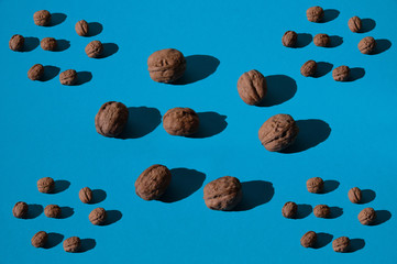 lot of walnuts on a blue creative background, top view with copy space