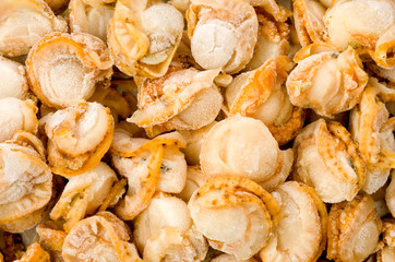 冷凍 ベビーホタテ