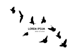 A flock of flying birds. Vector illustration