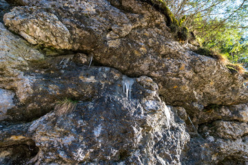 Hike in spring in the beautiful Danube valley