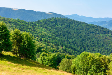 Fototapeta na wymiar sunny mountain landscape in summer