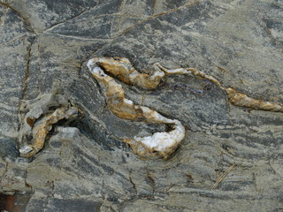 du port de la Madrague au port de Niel - Giens 83