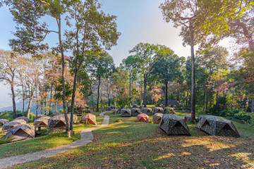 Tents forest in the  Doi Suthep National Park chiangmai Thailand