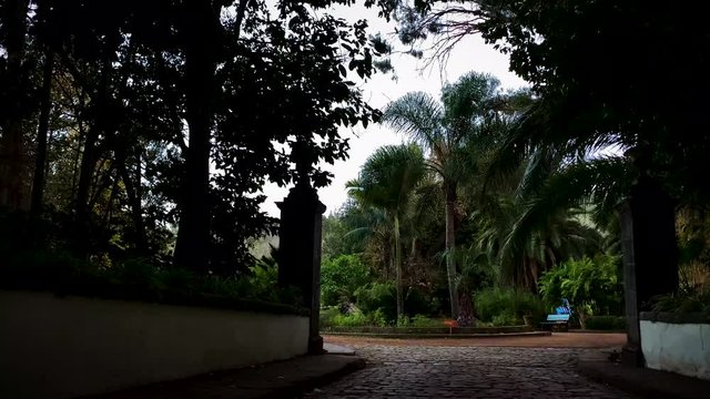 4k Aventura al aire libre Caminos ins&oacute;litos 5 Bosques Gran Canaria