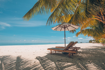 Tranquil beach scene. Exotic tropical beach landscape for background or wallpaper. Design of summer vacation holiday concept.