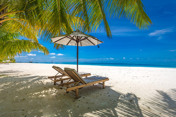 Loungers and palms close to blue sea. Amazing landscape. Tranquil scenery, relaxing beach, tropical landscape design. Summer vacation travel holiday design