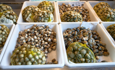 Cajas con almejas y berberechos, mariscos del norte de España