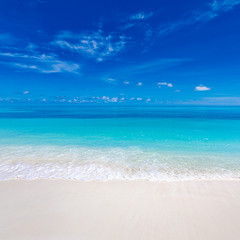 Summer beach and sea. Tropical pattern with blue sky and calm waves splashing. Exotic nature backdrop, coastline and beach