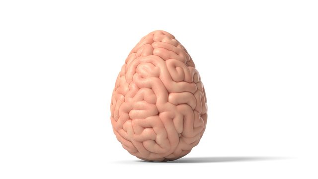 easter egg as human brain. 3D illustration