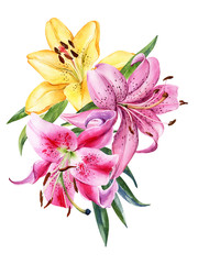 Bouquet of watercolor lily, red, pink, yellow, orange lilly flowers on an isolated white background, watercolor flower, stock illustration. - obrazy, fototapety, plakaty