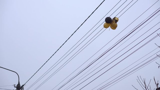 Inflatable helium balloons tangled up on electric wires. Dangerous entertainment. Environmental pollution