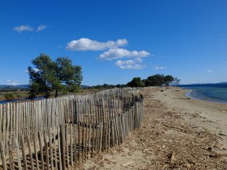 Vieux salins d'Hyères