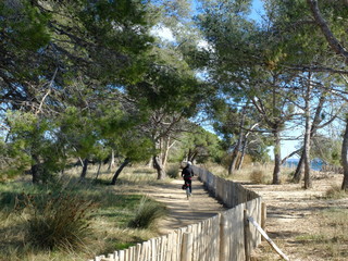 Vieux salins d'Hyères