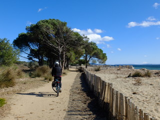Vieux salins d'Hyères