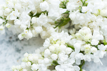 Beautiful spring lilac texture background