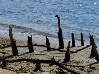 Vieux salins d'Hyères
