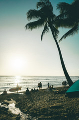 hammock on the beach