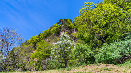 Climbing the via ferrata in Bregenz