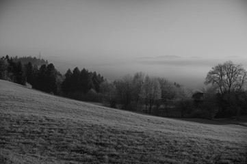 Obraz premium A valley in fog. Frozen grass in a winter days. Foggy landscape