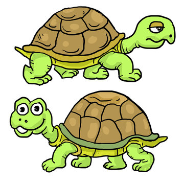 Cartoon tortoise smiley and walking slowly