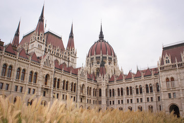 Fototapeta premium The Building Of The Parliament Of Hungary