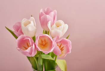 Fototapeta premium Spring card template. Happy Birthday or Valentine. Women's Day. Greeting card for mother's day. Congratulation with Easter. Flower card. Copy space. Wedding invitation. Flowers on pink background