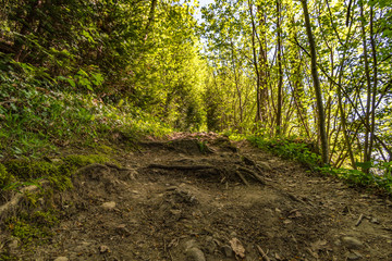 Climbing the via ferrata in Bregenz