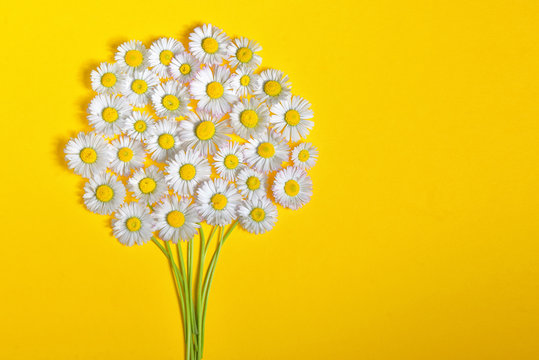 Daisy flower bouquet on yellow background