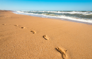 Footprints on wet sand leading to sea waves