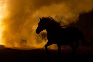 Obraz na płótnie Canvas Silhouette of the back of the head of a Haflinger Horse with waving manes, looking into the smoke in a orange atmosphere